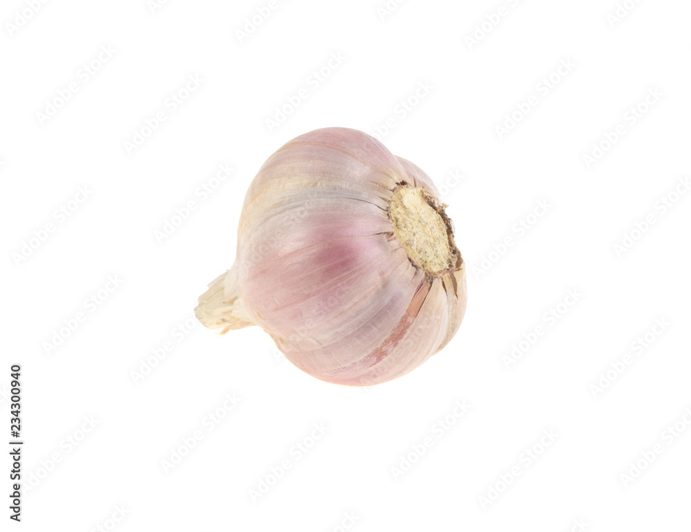 Fototapeta premium garlic isolated on white background