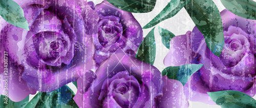 Purple roses watercolor background Vector. Vintage greeting. Delicate floral ...