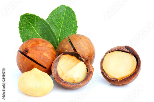 Macadamia nuts with leaf isolated.