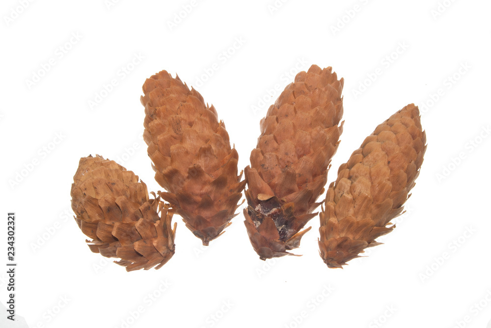 cone isolated on white background cone isolated on white background