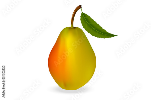 Realistic 3d pear with leaf, latin name  Pýrus, varieties of Early on a white background with realistic shadows. Vector illustration. photo