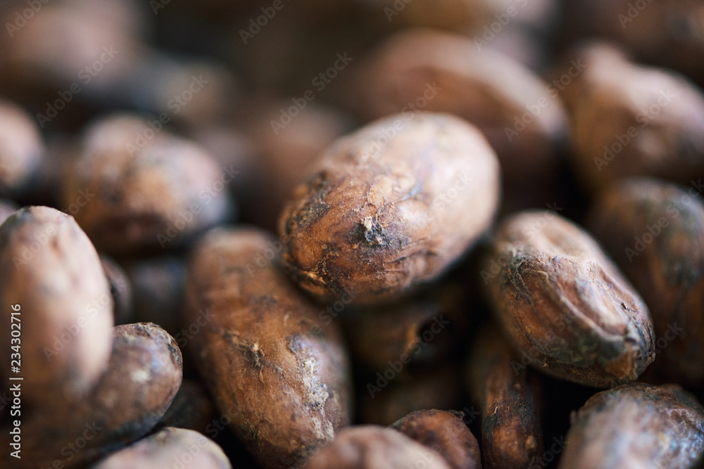 Dried cocoa beans being prepared for chocolate making Dried cocoa beans being prepared for chocolate making