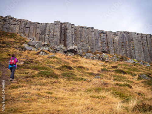 Tourist girl walking near Gerduberg basalt columns, Iceland photo