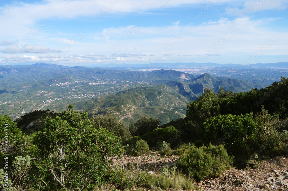 Naklejka premium Green bushes and stones on the top of Montserrat mountains in Barcelona, Spain