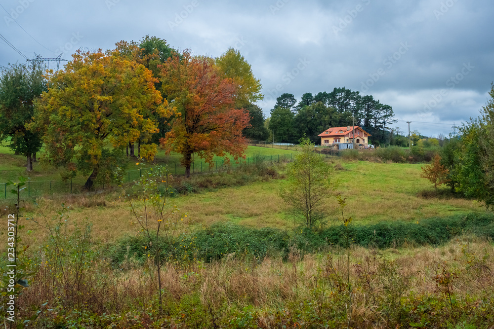 Colours of trees in auttum, Basque country, Spain Colours of trees in auttum, Basque country, Spain