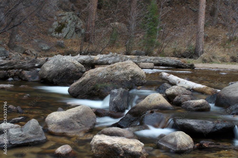 stream in the forest stream in the forest