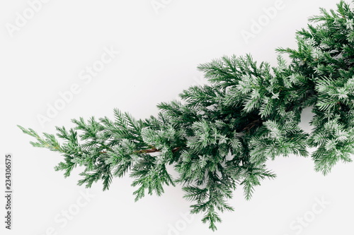 Coniferous spruce branch on a white background. Christmas, New Year, winter concept. Flat lay, top view, copy space 