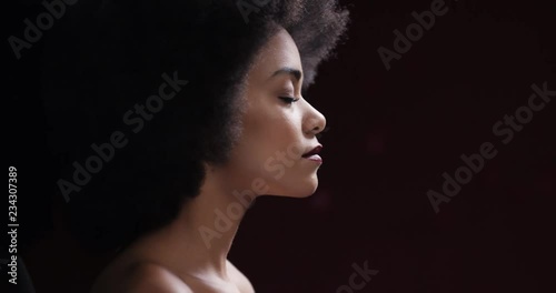 portrait attractive african american woman with afro rose petals falling on soft skin sensual female dreaming of intimate fantasy romance indulging desire in sexy elegance photo
