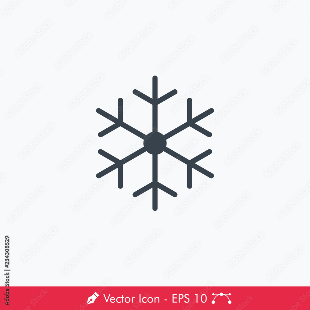 Snowflake Icon / Vector