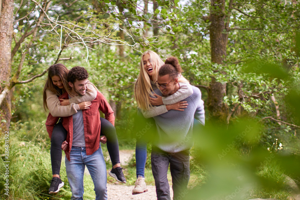 Four smiling young adult friends walking in a forest during a hike, men piggybacking their girlfriends Four smiling young adult friends walking in a forest during a hike, men piggybacking their girlfriends