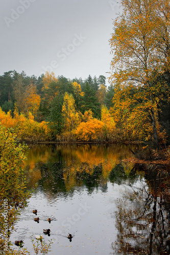 Waldsee im Herbst