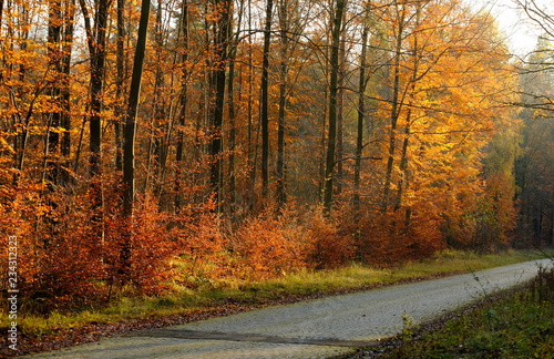 alte Panzerstrasse zwischen Böblingen und Stuttgart Vaihingen