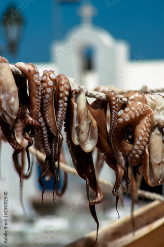 Octopus drying greece 