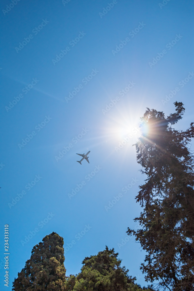 Φωτογραφία Plane flying on sky above tops of trees near Grand master palace (Rhodes, Greece