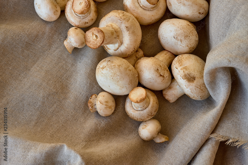 Champignon mushrooms on a gray cloth Champignon mushrooms on a gray cloth