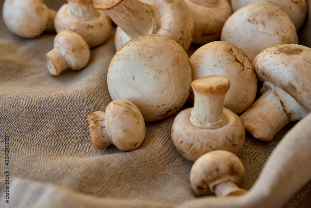 Champignon mushrooms on a gray cloth Champignon mushrooms on a gray cloth