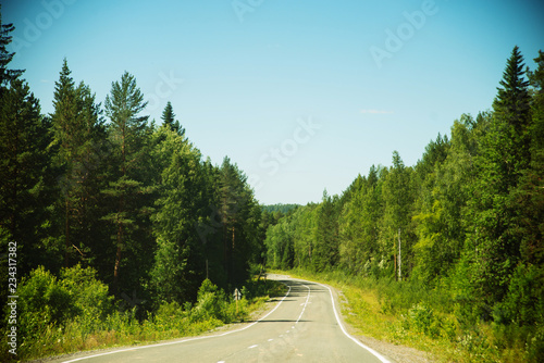 Road on a summer day in the forest