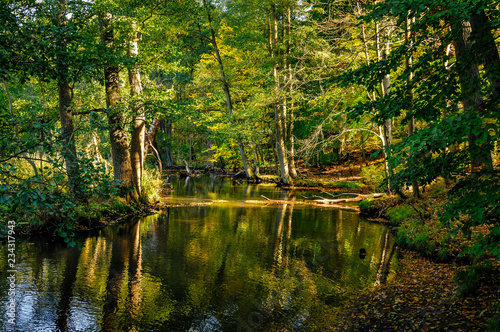 Idyllische Herbstlandschaft: Der Fluss "Schwärze" im Forstbotanischen Garten Eberswalde