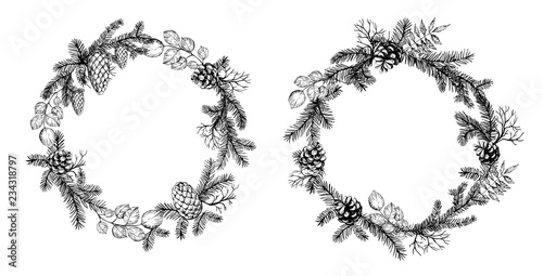 Pine wreath with cone and fir brunches. Vector illustration.