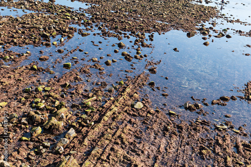 FLYSCH - Set of facies rocks of sedimentary origin