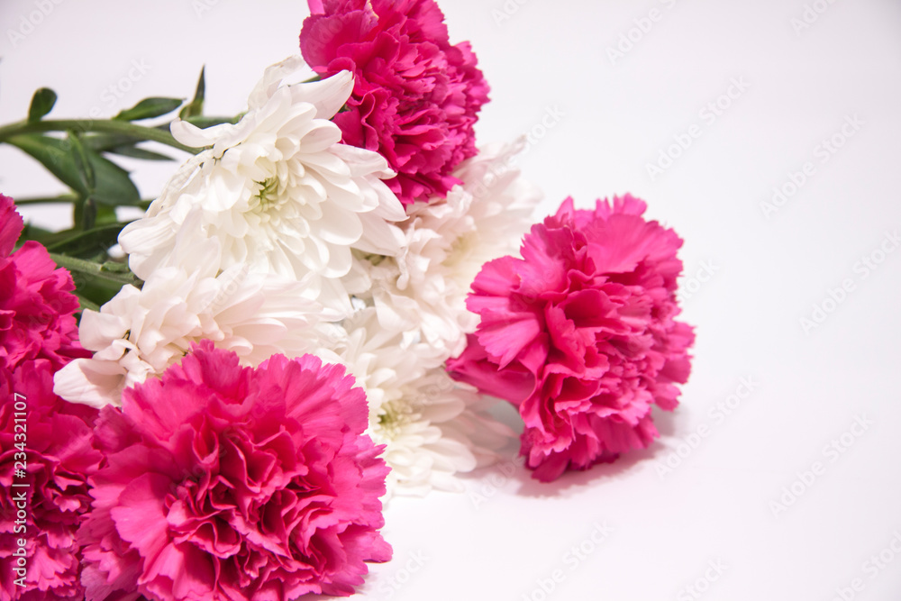 Romantic horizontal floral banner. White beautiful chrysanthemums and pink carnation Romantic horizontal floral banner. White beautiful chrysanthemums and pink carnation