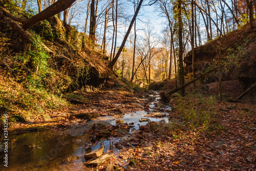 Along the Creek