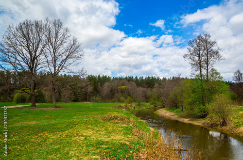 spring landscape by the river