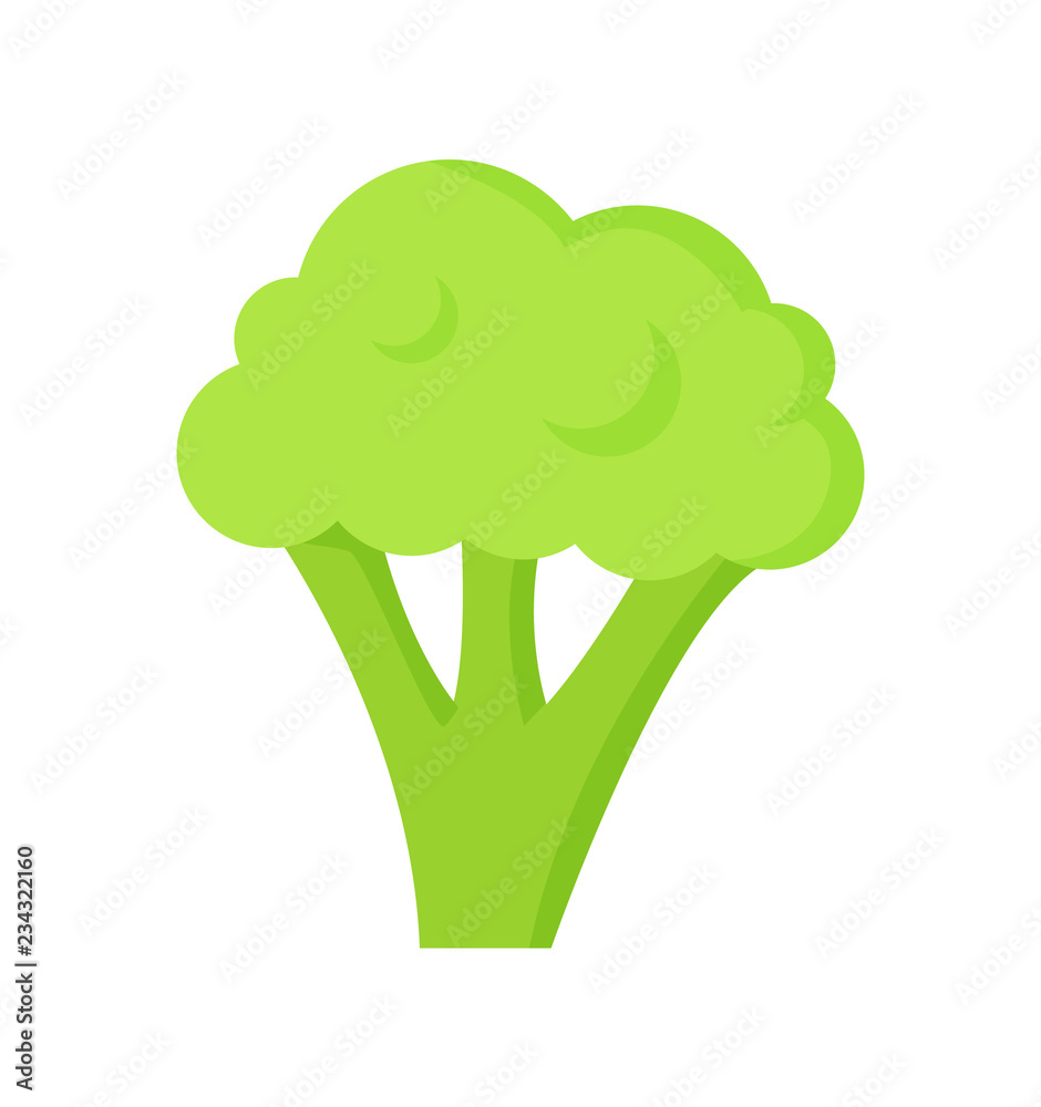 Broccoli Healthy Useful Food Vector Illustration Broccoli Healthy Useful Food Vector Illustration