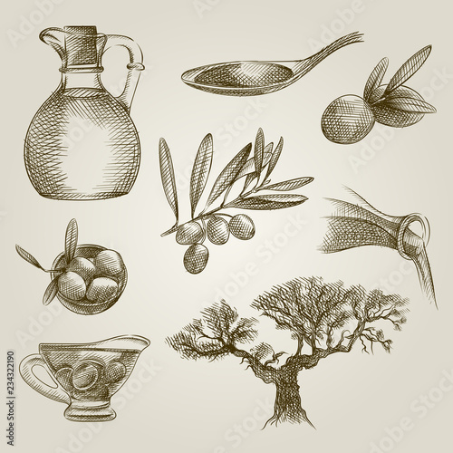Set of Hand Drawn olive elements. Collection Of olives and olive oil illustrations. Olive elements Sketches isolated on white background.