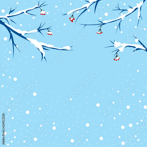 Snow falls on the mountain ash branches