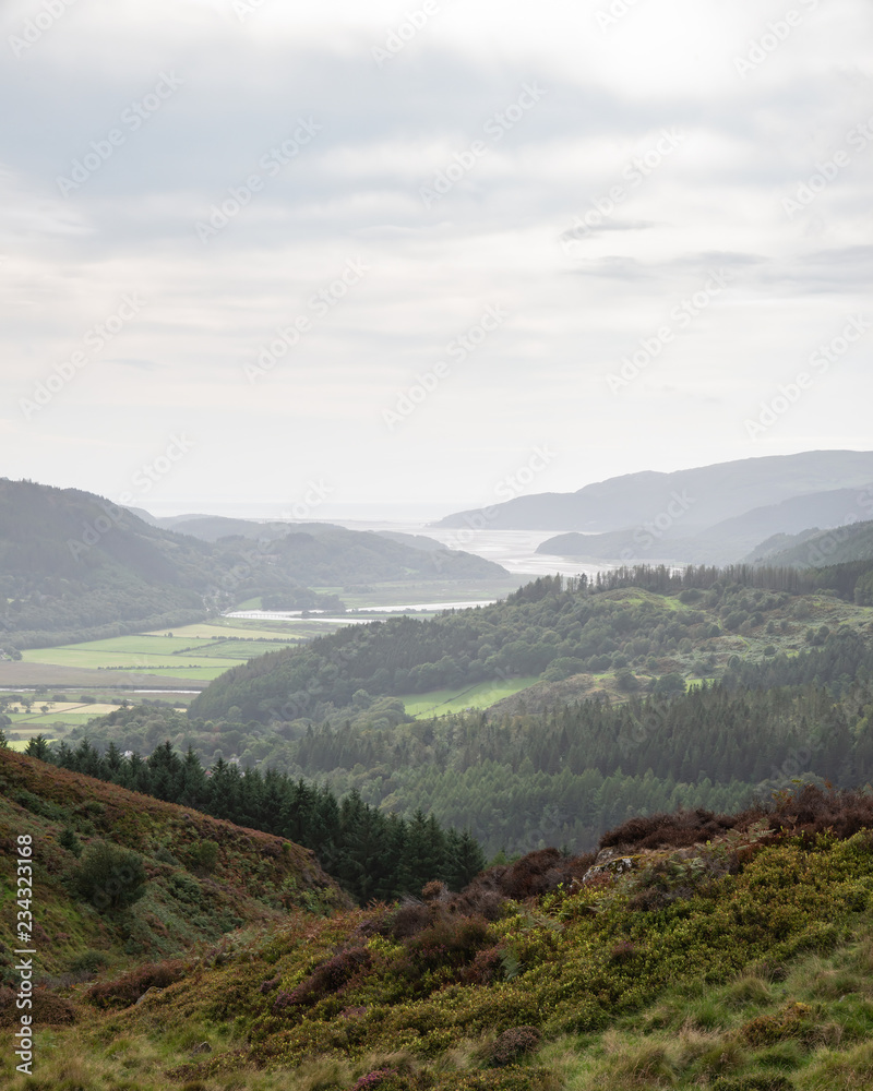 Fototapeta premium Landscape image of view from Precipice Walk in Snowdonia overlooking Barmouth and Coed-y-Brenin forest during rainy afternoon in September