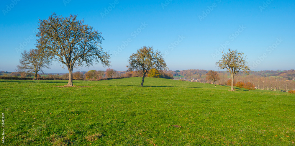 Rural hilly landscape in fall colors in sunlight in autumn Rural hilly landscape in fall colors in sunlight in autumn
