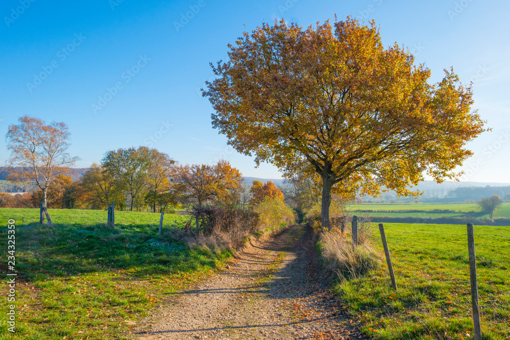 Rural hilly landscape in fall colors in sunlight in autumn Rural hilly landscape in fall colors in sunlight in autumn