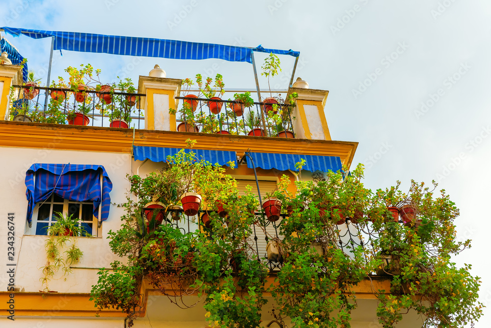 plant decorated fences at a house in Seville, Spain