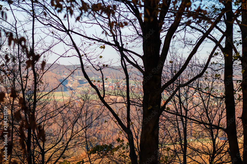 Blick in die Stadt aus dem Wald Blick in die Stadt aus dem Wald