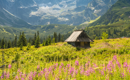 Fototapeta Naklejka Na Ścianę i Meble -  Hala Gasienicowa, Tatra mountains Zakopane Poland