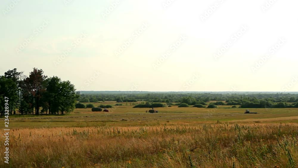 tractor and the people on the field, harvesting at summer, agriculture and harvester, Farmers loading hay at a small truck in a hay field with a pagoda on background tractor and the people on the field, harvesting at summer, agriculture and harvester, Farmers loading hay at a small truck in a hay field with a pagoda on background