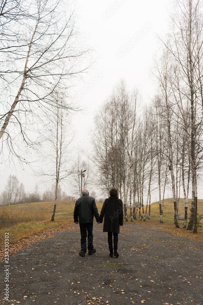 Unrecognizable elderly couple walking in path in park Unrecognizable elderly couple walking in path in park