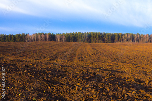 plowed agricultural field, forest on the horizon and blue sky