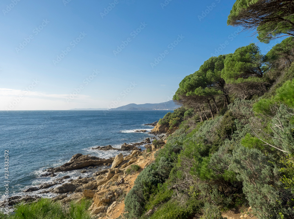 Fototapeta premium Le cap Lardier. La Croix Valmer. Plage Jovat le long du sentier littoral