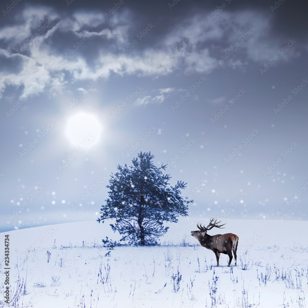 Winter landscape in blue color.  Lonely tree and wild deer male with big horns in a snowy field.