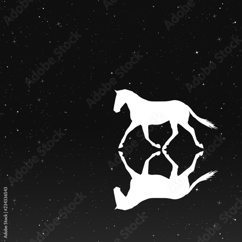 Running horse in park at night. Vector illustration with silhouette of beautiful running animal reflected in water under starry sky. Inverted black and white