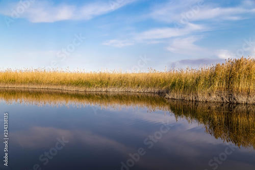A beautiful river with reed on its shore and its reflection on the water.