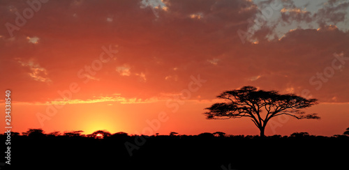 Sunrise over the Serengeti