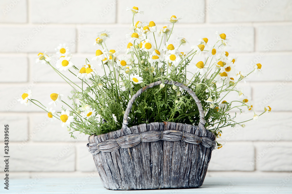 Bouquet of chamomile flowers in basket on brick wall background