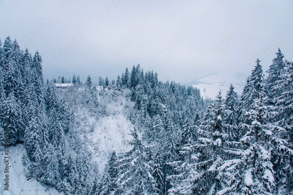 Fototapeta premium Winter landscape in the mountains.