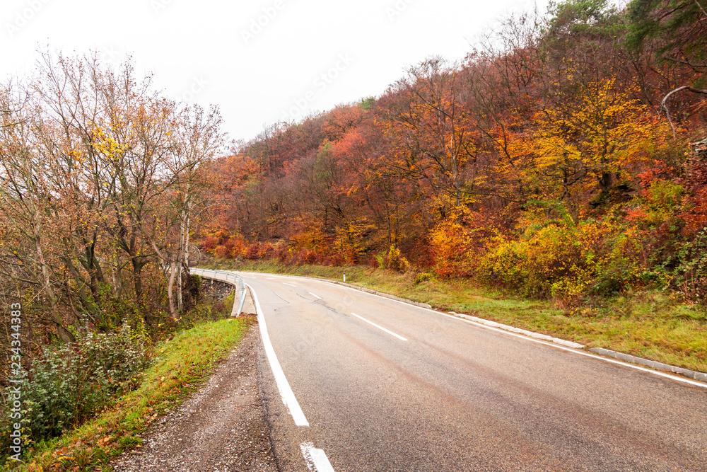 Autumn forest road landscape. Mountain forest road in autumn.