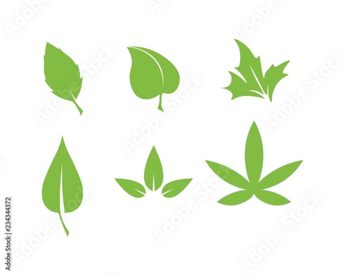 Tree leaf vector logo design  eco-friendly concept.