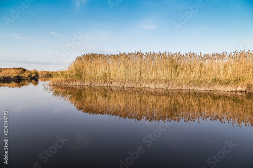 A beautiful river with reed on its shore and its reflection on the water.