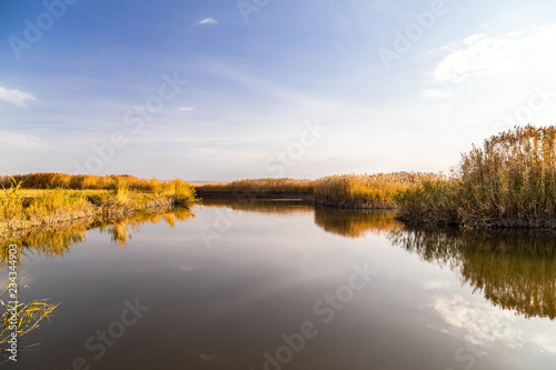 Fototapeta Naklejka Na Ścianę i Meble -  A beautiful river with reed on its shore and its reflection on the water.